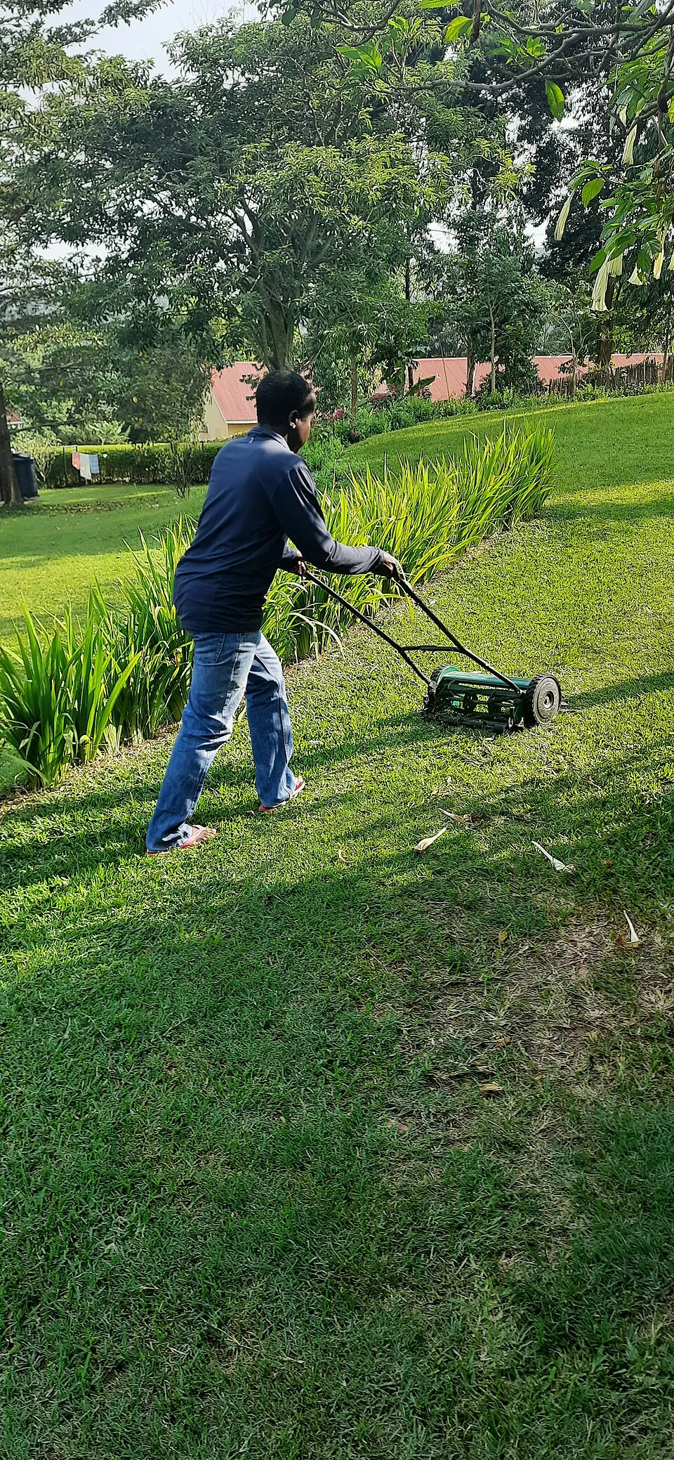 Landscaping & Lawn Care contractor working in a residential home
